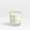 Hush Candle - Fig & Blackberry Leaf -TrendyLuxe Store 007363 0002 01