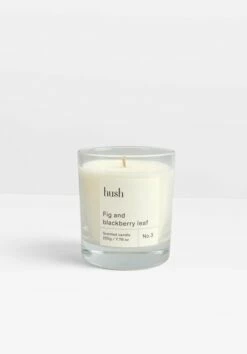 Hush Candle - Fig & Blackberry Leaf