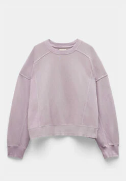 Aurelia Metallic Raglan Sweatshirt -TrendyLuxe Store 008880 4395 07 1