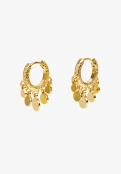 Lyra Mini Disc Earrings -TrendyLuxe Store 009606 3037 04